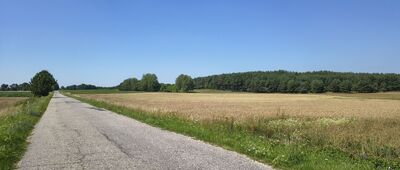 Wielkopole ↔ Marcinowa Niwa