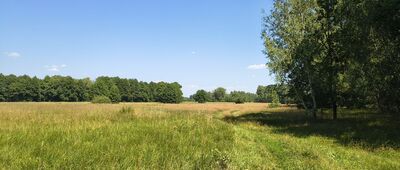 Wielkopole, granica parku narodowego