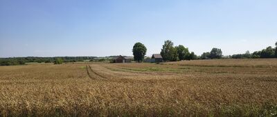 Wereszczyn ↔ Sęków