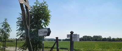 Wereszczyn