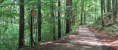 Podzamcze ↔ Rozejście szlaków