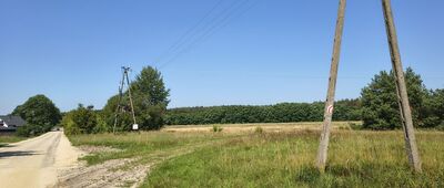 Wojciechów