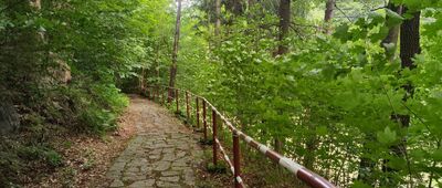Podgórzyn Górny ↔ Przesieka, rozejście szlaków
