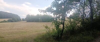 Rozejście szlaków