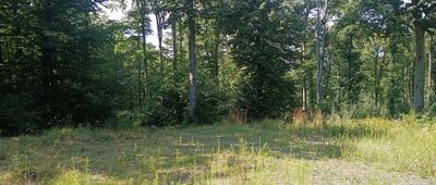 Dawny kamieniołom pod Bazaltową