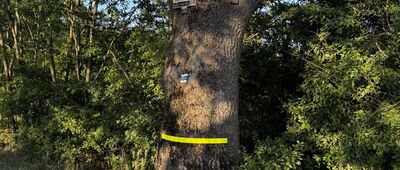 Rozejście szlaków ↔ Pod Hraničním vrchem