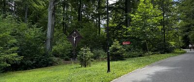 Rezerwat Las Bukowy ↔ Głuchołazy-Zdrój, al. Jana Pawła II