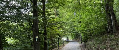 Głuchołazy, źródło Żegnalce ↔ Rezerwat Nad Białką