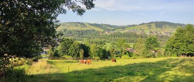 Czarna Góra, Sołtysowo ↔ Budy Cygańskie