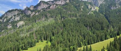 Mylna Jaskinia, wyjście ↔ Dolina Kościeliska, wyjście z Mylnej Jaskini