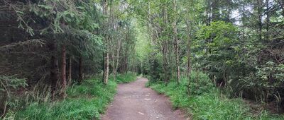 Hrebienok ↔ Starý Smokovec, rozejście szlaków