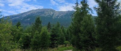 Hrebienok ↔ Starý Smokovec, rozejście szlaków