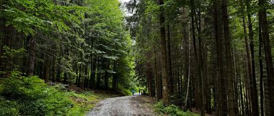 U kamene