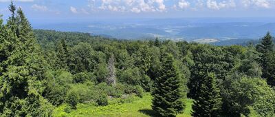 Korbania
