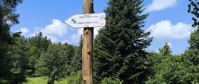 Korbania