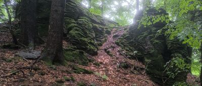 Durna ↔ Łopiennik