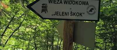 Odejście ścieżki przyrodniczej