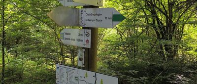 Pasmo Otrytu