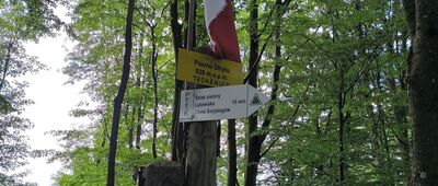 Trohaniec