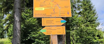 Pod Jaworzyną Krynicką, odejście do schroniska