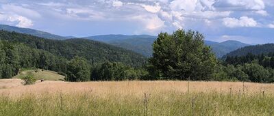 Skrzyżowanie szlaków czerwony / zielony ↔ Krynica Zdrój