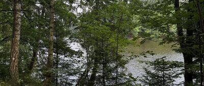 Jezioro Wrzeszczyńskie