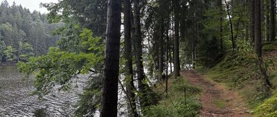 Jezioro Wrzeszczyńskie