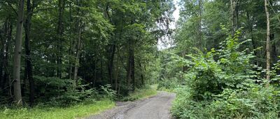 Skrzyżowanie pod Wapienną ↔ Płoszczynka