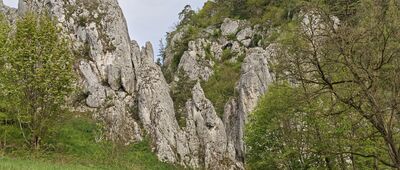 Bolechowice, rozejście szlaków ↔ Będkowice