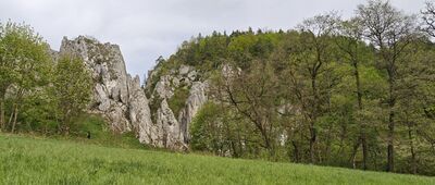 Bolechowice, rozejście szlaków ↔ Będkowice