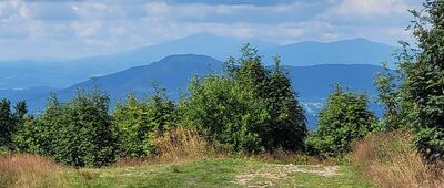 Ćwilin