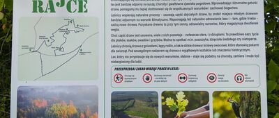 Odejście ścieżki Rajce ↔ Odejście ścieżki Rajce