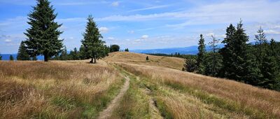 Magurka Radziechowska ↔ Hala Radziechowska