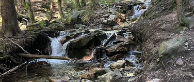 Na paloučku ↔ Karlova Studánka