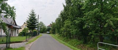Krzaczyna [Szlak zielony w kierunku Karpacza]