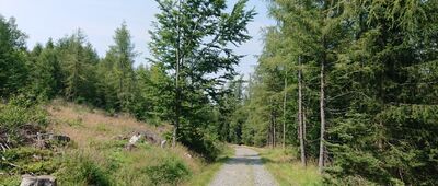 Tabaczana Ścieżka ↔ Nad Budnikami