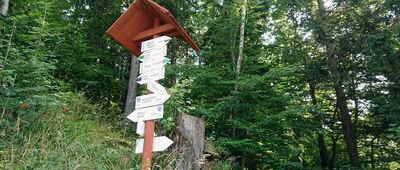 Karpacz, Łomniczka