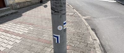Wąsosz