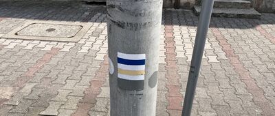Wąsosz