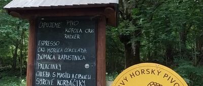 Podžiar