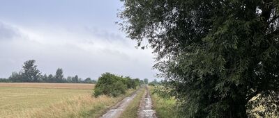 Krzelów ↔ Buszkowice Małe