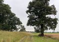 Krzelów ↔ Buszkowice Małe