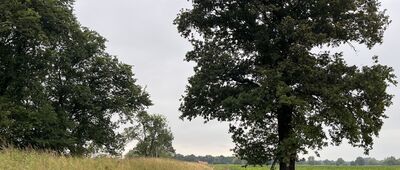 Krzelów ↔ Buszkowice Małe