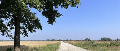 Buszkowice Małe ↔ Rajczyn