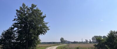 Buszkowice Małe ↔ Rajczyn