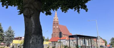 Wińsko