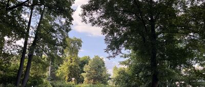 Niezgoda, odejście do wieży