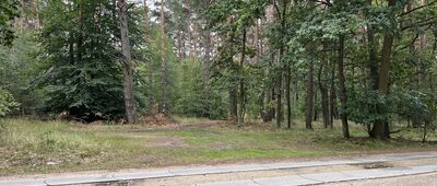 Rozejście szlaków niebieski / żółty