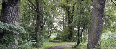 Lelików, odejście szlaku ↔ Staw Gądkowicki