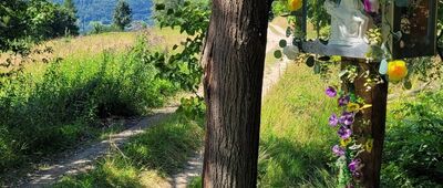 Mioduszyna ↔ Osiedle Piątkowa